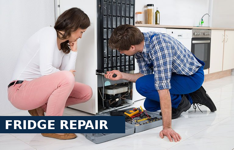 Fridge Repair Cheshunt
